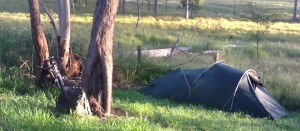 Campsite near Grafton Australia - Roadside Rest Area