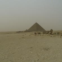 Egypt106